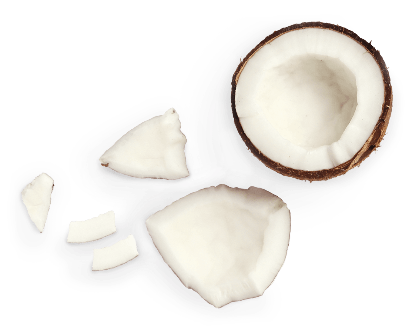 coconuts copy